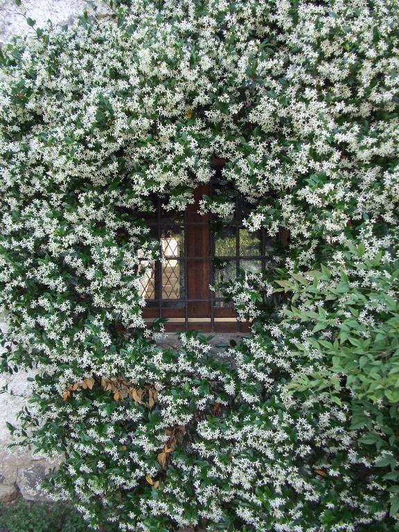 Agriturismo Cascina Rossano Provaglio d'Iseo Εξωτερικό φωτογραφία