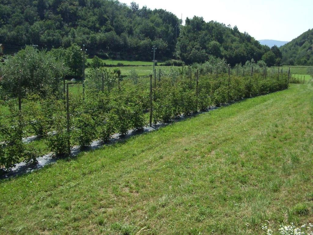Agriturismo Cascina Rossano Provaglio d'Iseo Εξωτερικό φωτογραφία