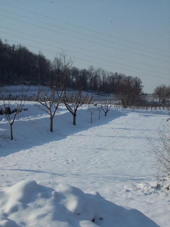 Agriturismo Cascina Rossano Provaglio d'Iseo Εξωτερικό φωτογραφία