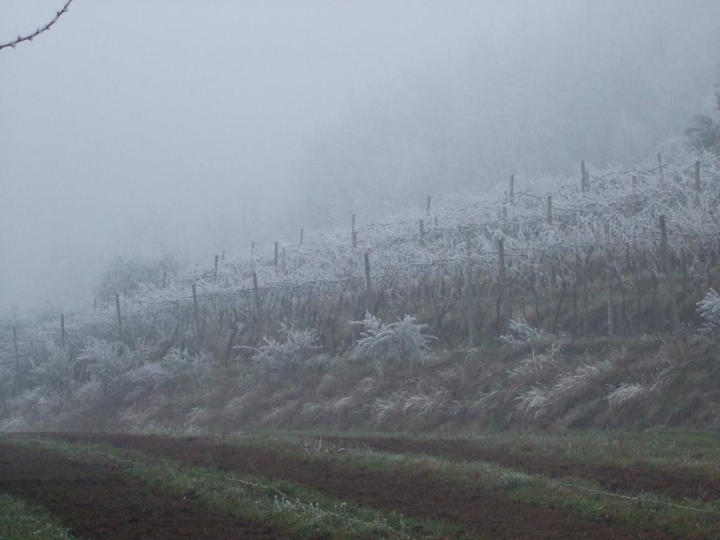 Agriturismo Cascina Rossano Provaglio d'Iseo Εξωτερικό φωτογραφία